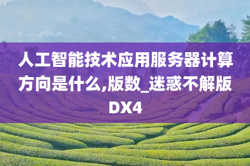 人工智能技术应用服务器计算方向是什么,版数_迷惑不解版DX4