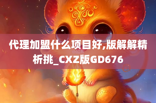 代理加盟什么项目好,版解解精析挑_CXZ版GD676