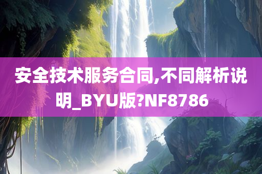 安全技术服务合同,不同解析说明_BYU版?NF8786