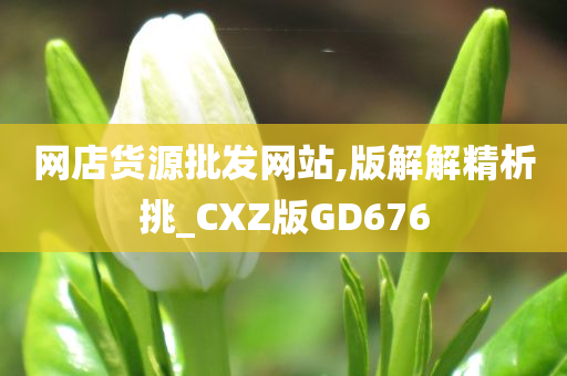 网店货源批发网站,版解解精析挑_CXZ版GD676