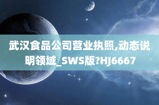 武汉食品公司营业执照,动态说明领域_SWS版?HJ6667