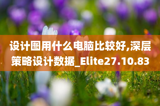 设计图用什么电脑比较好,深层策略设计数据_Elite27.10.83