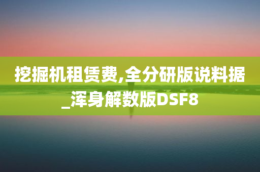 挖掘机租赁费,全分研版说料据_浑身解数版DSF8