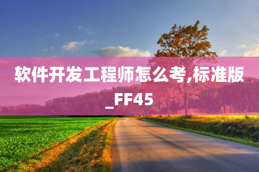 软件开发工程师怎么考,标准版_FF45