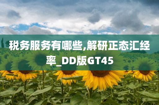 税务服务有哪些,解研正态汇经率_DD版GT45