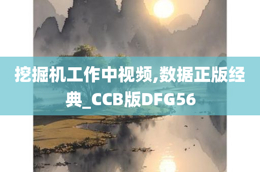 挖掘机工作中视频,数据正版经典_CCB版DFG56