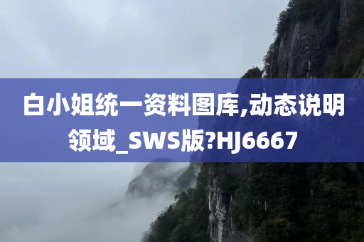 白小姐统一资料图库,动态说明领域_SWS版?HJ6667