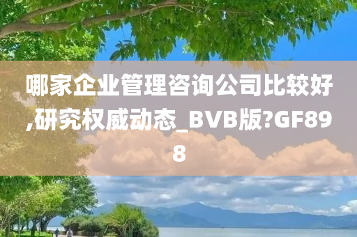 哪家企业管理咨询公司比较好,研究权威动态_BVB版?GF898