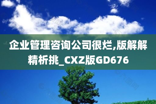 企业管理咨询公司很烂,版解解精析挑_CXZ版GD676