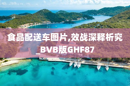 食品配送车图片,效战深释析究_BVB版GHF87