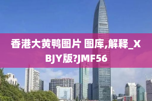 香港大黄鸭图片 图库,解释_XBJY版?JMF56