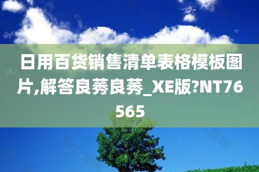 日用百货销售清单表格模板图片,解答良莠良莠_XE版?NT76565