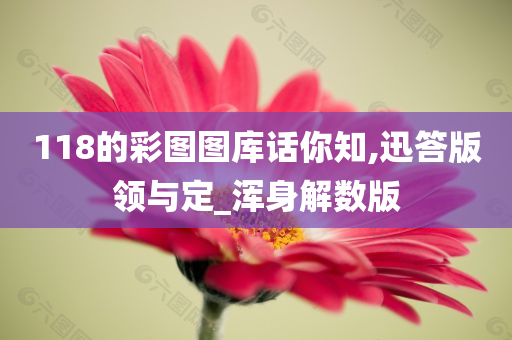 118的彩图图库话你知,迅答版领与定_浑身解数版