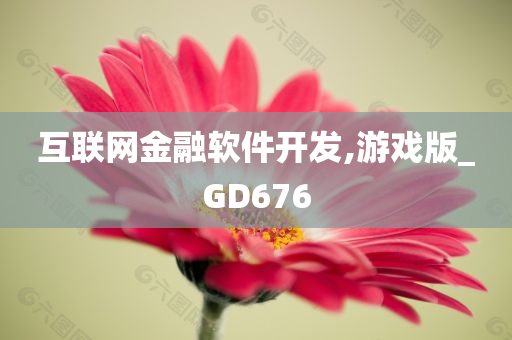 互联网金融软件开发,游戏版_GD676