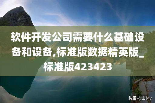 软件开发公司需要什么基础设备和设备,标准版数据精英版_标准版423423