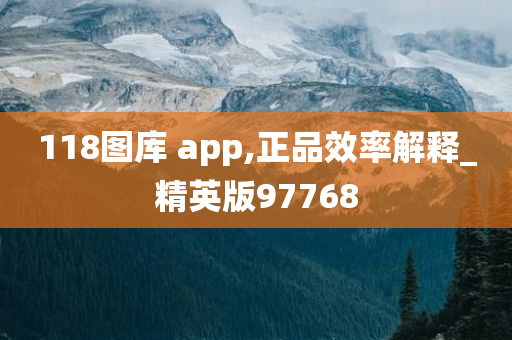 118图库 app,正品效率解释_精英版97768