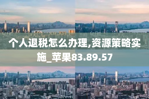 个人退税怎么办理,资源策略实施_苹果83.89.57