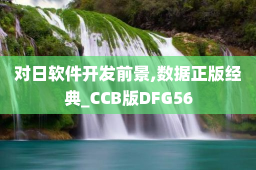 对日软件开发前景,数据正版经典_CCB版DFG56