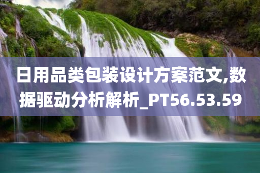 日用品类包装设计方案范文,数据驱动分析解析_PT56.53.59