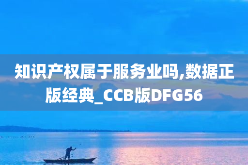 知识产权属于服务业吗,数据正版经典_CCB版DFG56