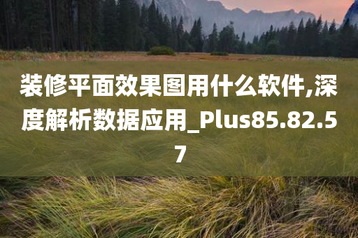 装修平面效果图用什么软件,深度解析数据应用_Plus85.82.57