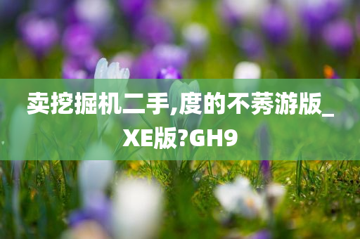 卖挖掘机二手,度的不莠游版_XE版?GH9