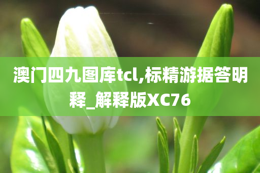 澳门四九图库tcl,标精游据答明释_解释版XC76