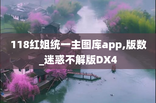 118红姐统一主图库app,版数_迷惑不解版DX4