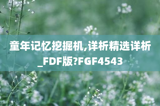 童年记忆挖掘机,详析精选详析_FDF版?FGF4543