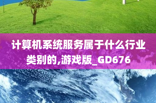 计算机系统服务属于什么行业类别的,游戏版_GD676