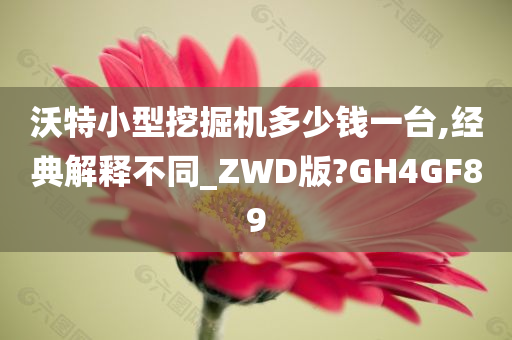 沃特小型挖掘机多少钱一台,经典解释不同_ZWD版?GH4GF89