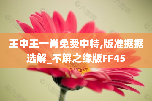 王中王一肖免费中特,版准据据选解_不解之缘版FF45