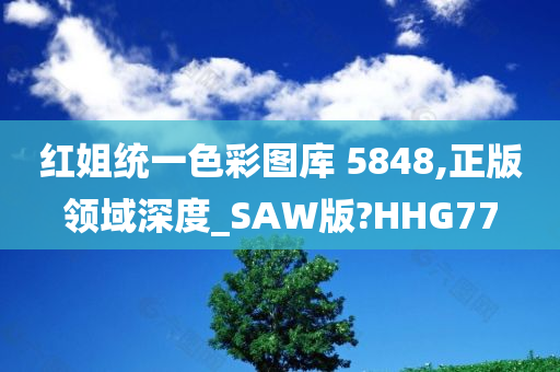 红姐统一色彩图库 5848,正版领域深度_SAW版?HHG77