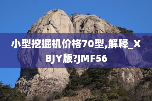 小型挖掘机价格70型,解释_XBJY版?JMF56