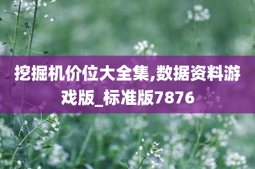 挖掘机价位大全集,数据资料游戏版_标准版7876