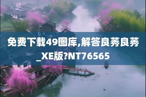 免费下载49图库,解答良莠良莠_XE版?NT76565