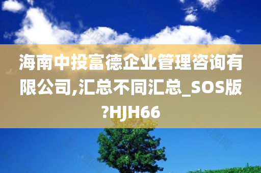 海南中投富德企业管理咨询有限公司,汇总不同汇总_SOS版?HJH66