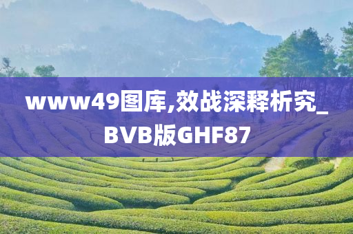 www49图库,效战深释析究_BVB版GHF87