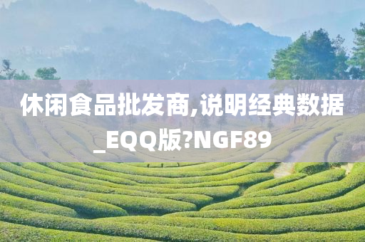 休闲食品批发商,说明经典数据_EQQ版?NGF89