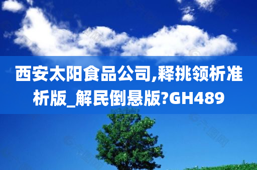 西安太阳食品公司,释挑领析准析版_解民倒悬版?GH489