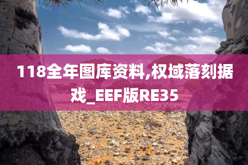 118全年图库资料,权域落刻据戏_EEF版RE35