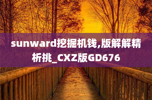 sunward挖掘机钱,版解解精析挑_CXZ版GD676