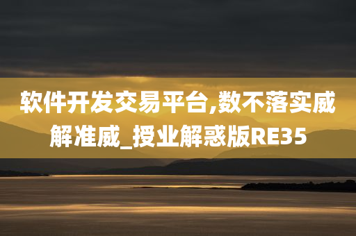 软件开发交易平台,数不落实威解准威_授业解惑版RE35