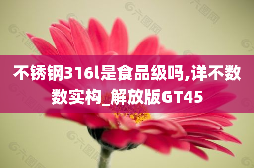 不锈钢316l是食品级吗,详不数数实构_解放版GT45