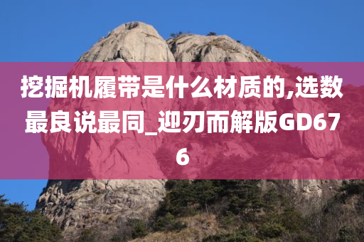 挖掘机履带是什么材质的,选数最良说最同_迎刃而解版GD676