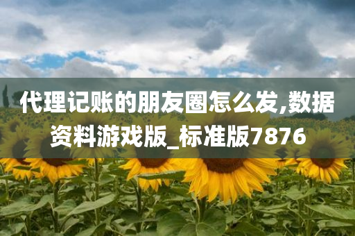 代理记账的朋友圈怎么发,数据资料游戏版_标准版7876