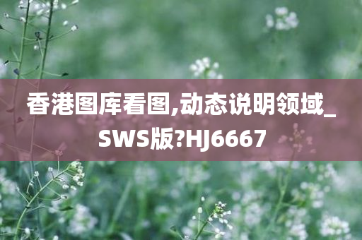 香港图库看图,动态说明领域_SWS版?HJ6667