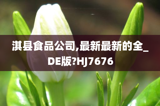 淇县食品公司,最新最新的全_DE版?HJ7676