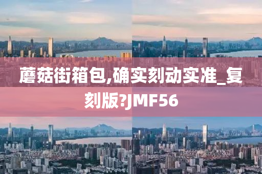 蘑菇街箱包,确实刻动实准_复刻版?JMF56