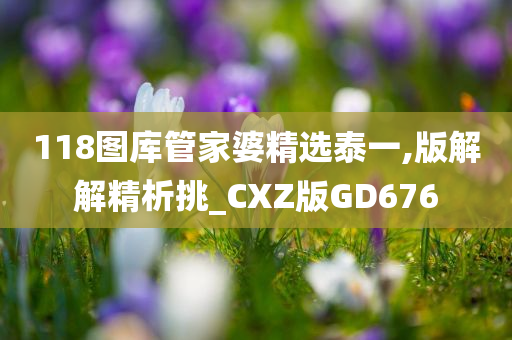 118图库管家婆精选泰一,版解解精析挑_CXZ版GD676